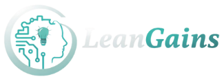 Photograph for LeanGains, Information Technology & Services business in Stockport